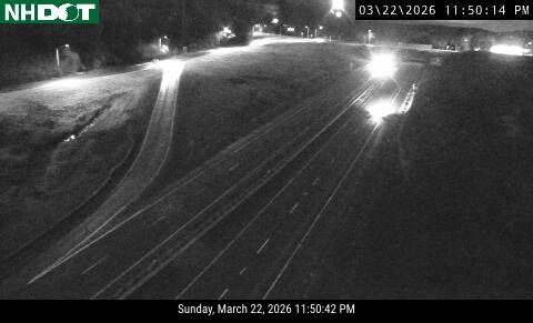 293 N MM 7.5 live webcam