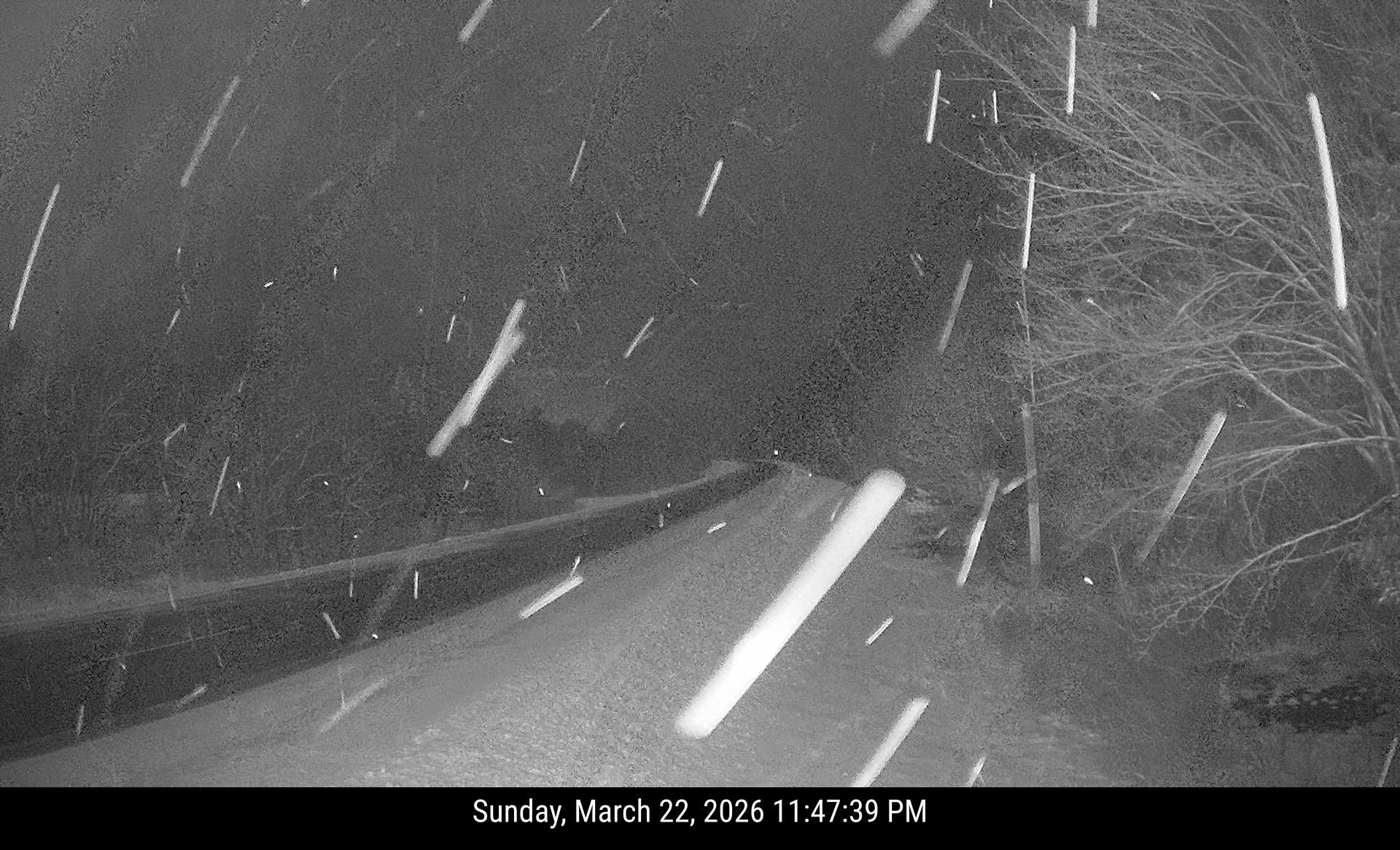 I-95 Mile 157 SB (Palmrya) live webcam