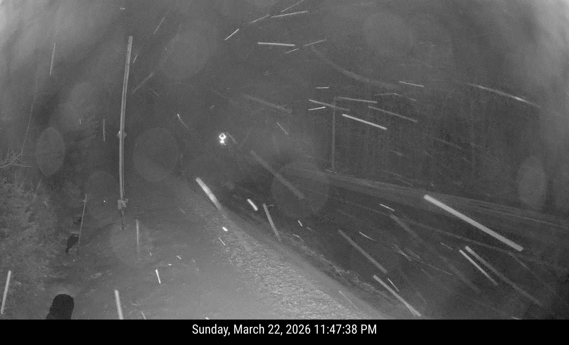 Rt9 Clifton (RWIS) live webcam